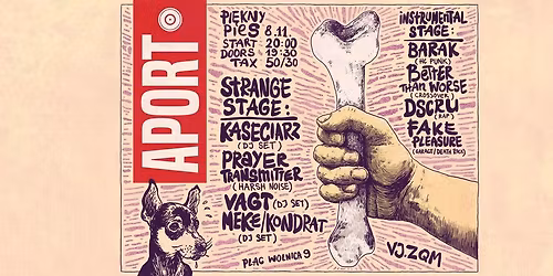APORT mini fest @ Pi\u0119kny Pies