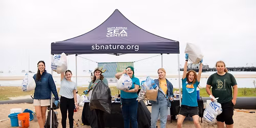 Beach Cleanup