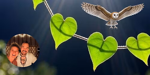 Collective Heart Tending and Sound Bath with Kylee and Adam