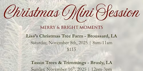 Lisa's Christmas Tree Farm