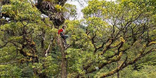 National Geographic Live: From The Roots To Canopy - Nalini Nadkarni