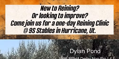 horsemanship clinic and fundraiser