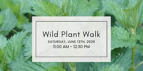Wild Plant Walk