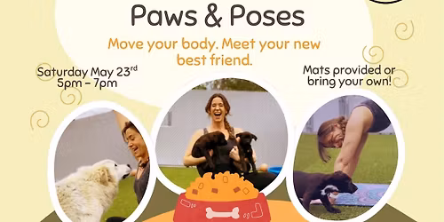 Paws and Poses
