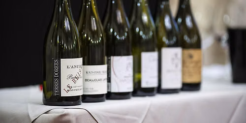 Masterclass Champagne Damien Hugot