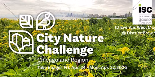 ID the Birds & Bees with ISC - City Nature Challenge