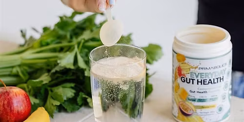 Gut & Stress Connection Education