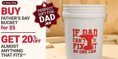Father's Day Big Bucket Sale