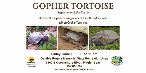 Gopher Tortoise: Superhero of the Scrub