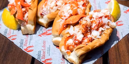 Concord Pet Hockessin Christmas Festival