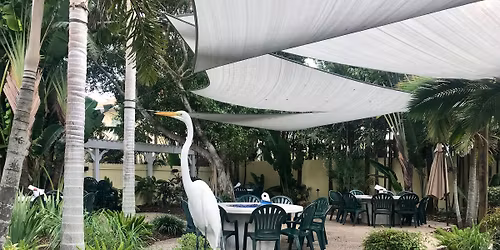 Pop's Sunset Grill - Courtyard