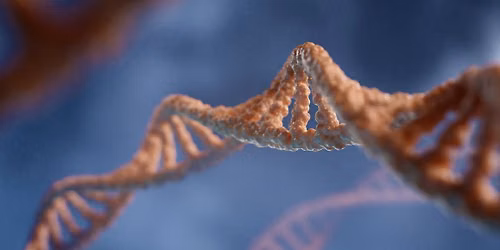 "Exploring the Genomes of Ancient Humans": In-Person Badger Talk in Appleton, WI