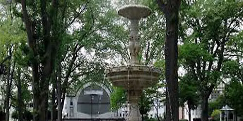 Art in the Park