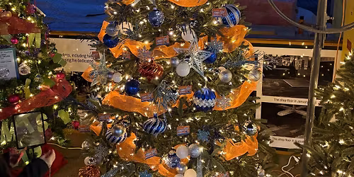 Christmas Tree Extravaganza 