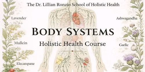 Body Systems Certification
