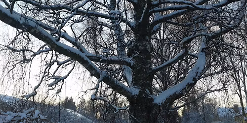 Monthly Meeting IM\u00c4I January