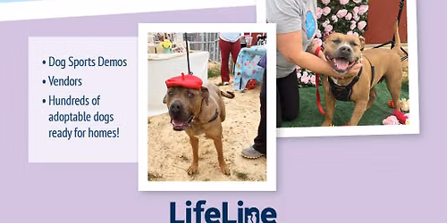 A Free Adoption event. 
