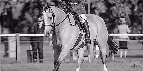 VNE Working Equitation ~ Christmas Cracker!  