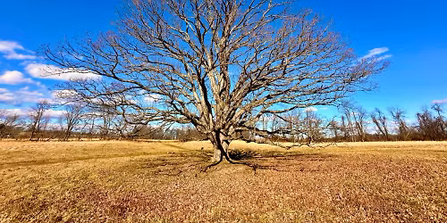 Loop hike though the Bryn Coed Preserve (8-10 miles)