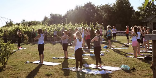 Yoga & Wein Abend Weingut Eva Vollmer @Monkey Yoga