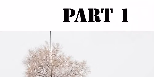 Intro To Digital Photography: PART 1 COMPOSITION & LIGHT Art Class