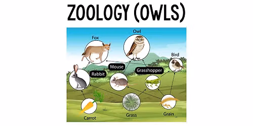 Owl Pellet Lab