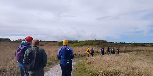 Coastal Wildlife Walk - Seaham