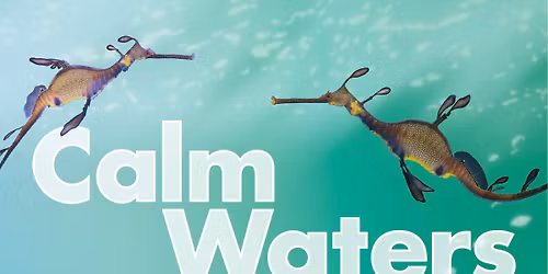 Calm Waters
