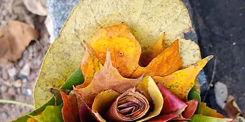 Yoga in the Park!!! at noon.