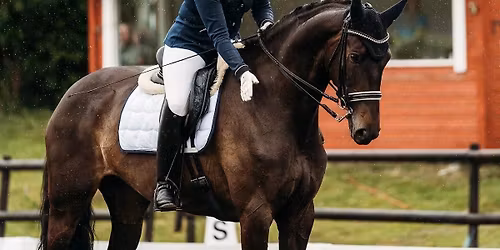 Dressurstevne med klubbmesterskap