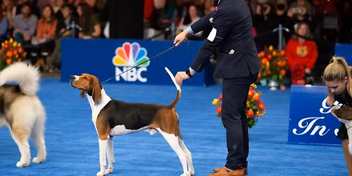 The Kennel Club of Philadelphia\u2019s National Dog Show