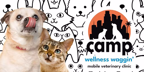 CAMP Wellness Waggin' at the South LA Animal Shelter