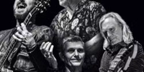 The Animals & Friends