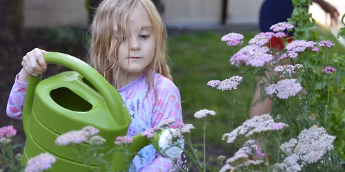 Dirty Diggers: Butterfly & Bee Gardens
