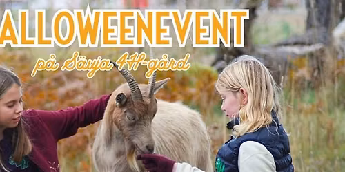 Halloweenevent p\u00e5 S\u00e4vja 4H-g\u00e5rd
