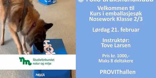 Emballasjekurs i nosework for klasse 2\/3