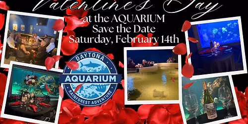 Valentine's Day at the Aquarium!