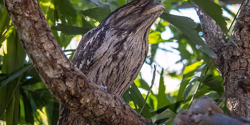 Mini Camp: Now You See Me