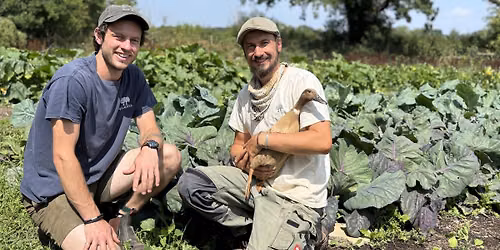 Permaculture Volunteer Day