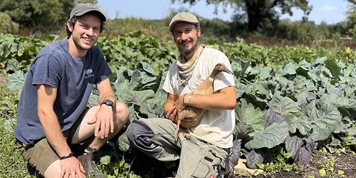 Permaculture Volunteer Day