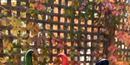 VENDOR POP UP: Winderforest 