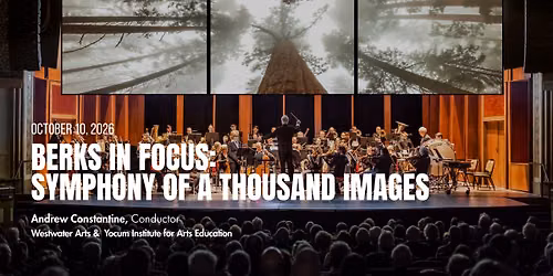 Berks In Focus: Symphony Of A Thousand Images