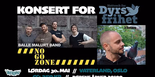 PunkeBjarte presenterer: Balle Malurt Band, NoGoZone & Matias Hamre Sveen