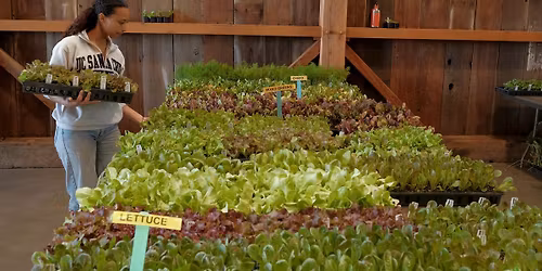 2026 Spring Plant Sale