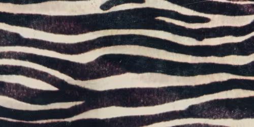 GEE LEE, Shaolin Cowboy, Soul City in Greater London