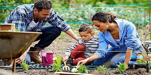 Gardening for Wellness