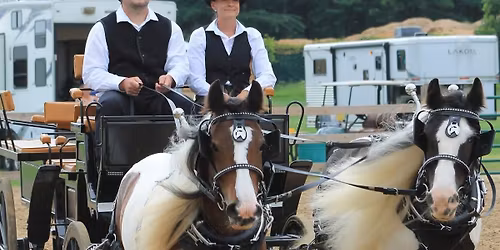 2026 Ingham County Donkey, Mule, Miniature and Draft Horse Show