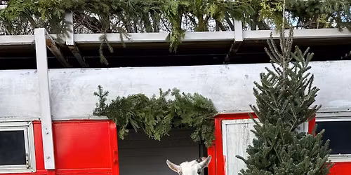 Small Business Saturday 