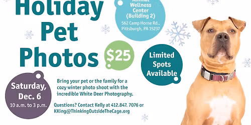 Holiday Pet Photos!