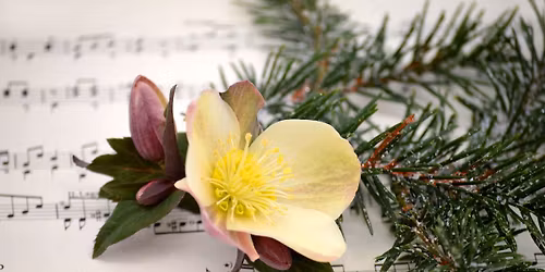 The Holly and the Ivy